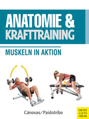 cover image of Anatomie & Krafttraining